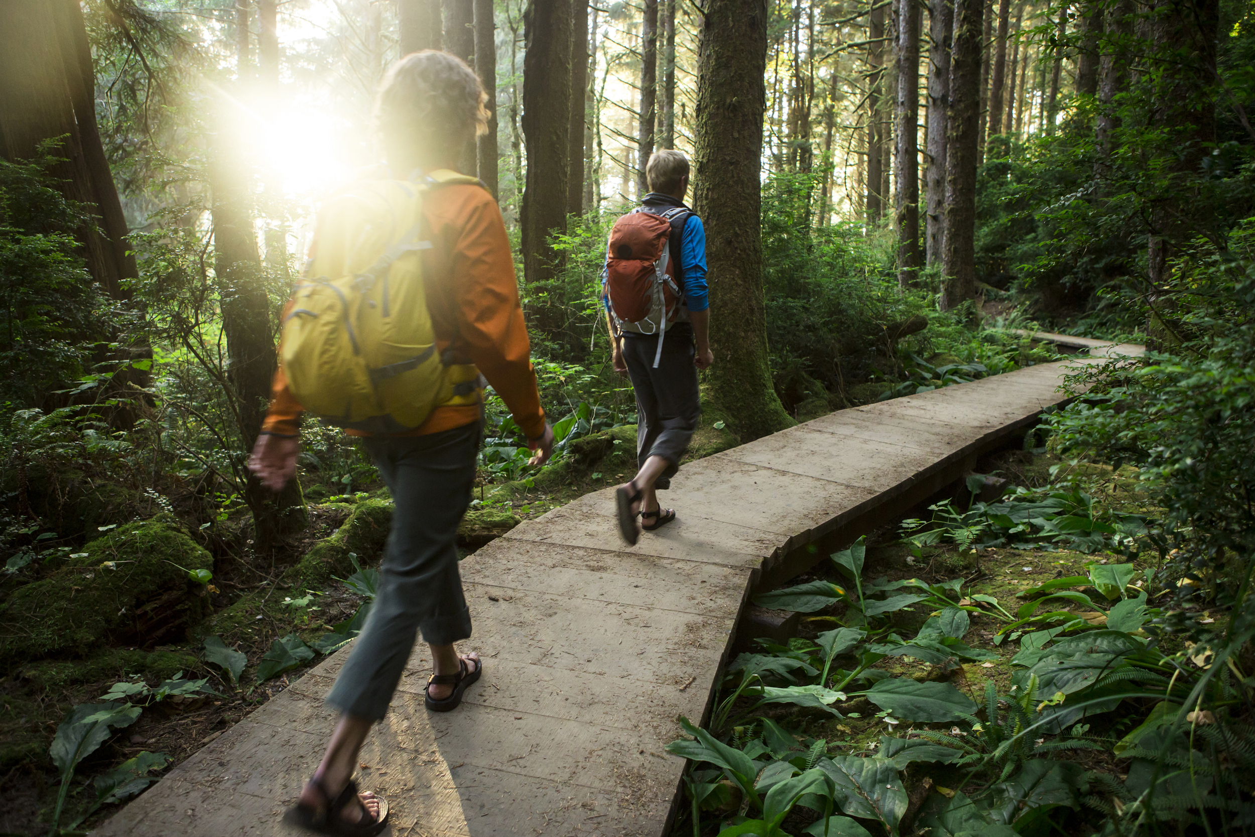 Why walking is the most underrated form of exercise